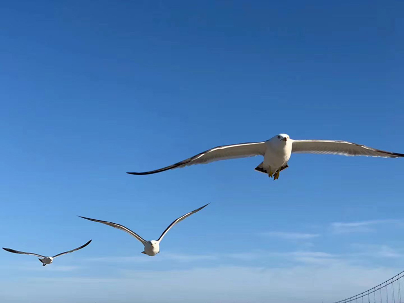 寮犻洩1.jpg